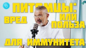 Питомцы: вред или польза для иммунитета?