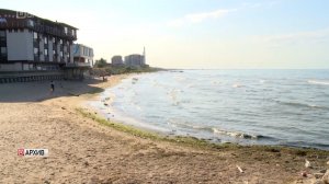 Обмеление Каспийского моря привело к изменениям в организме рыб