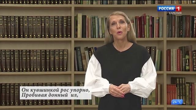 Taisto Summanen. Päivän Synty