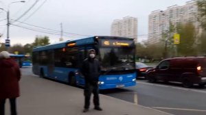 Автобус МАЗ-203.069 следует по маршруту 405