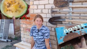 Всё в порядке! Новый ящик почтовый. Жёлтый арбуз. Держатель садового инструмента.