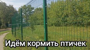 07-08-2026. Идём кормить птичек.