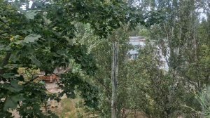 ДОБРОЕ УТРО ДРУЗЬЯ🥰🤗💋💥💯