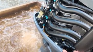 Арт 2280 Запуск лодочного мотора Yamaha F50HET 2016 г.