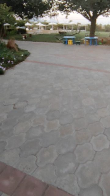 экскурсия по моему отдыху