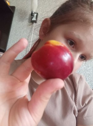 ещё одна трансляция