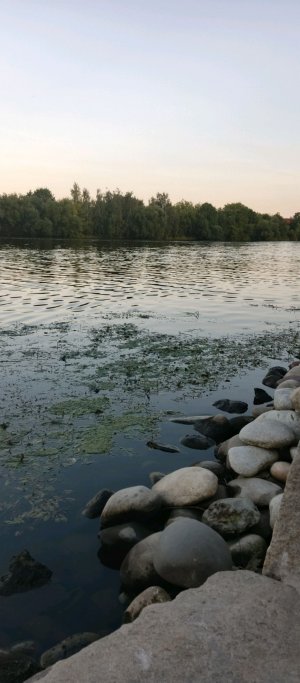 батареи