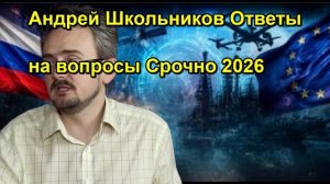 Андрей Школьников Ответы на вопросы Срочно 2026