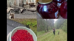 Деревенская жизнь .Два дня из нашей жизни в деревне.Домашние дела .Рексик проказник.