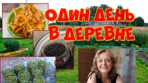 Один мой день. Заготовки, домашние дела, работа в палисаднике, обрезка помидор