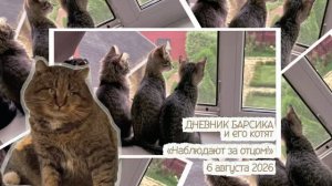 ДНЕВНИК Барсика и его котят «Наблюдение за отцом!» 6.08.2026