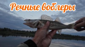 РЕЧНЫЕ ВОБЛЕРЫ. СЕЗОН 2026. Рыбалка на универсальные приманки на реке с быстрым течением.