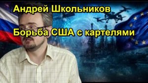 Андрей Школьников Борьба США с картелями