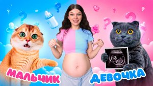 УЗНАЕМ ПОЛ РЕБЕНКА! КОТЫ В ШОКЕ! 24 ЧАСА С БЕРЕМЕННОЙ
