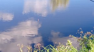 07-08-2026 Рыбалка с другом