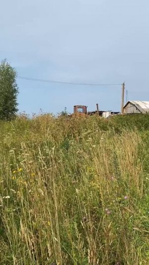 В гостях у брата Рыжего