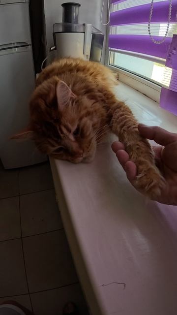 Жаркий денек