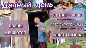 Дачный день//каша//суп с грибами//салат мимоза//планы быстро меняются
