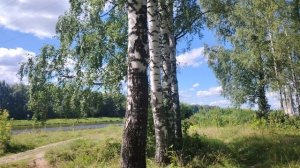 Иду вдоль реки к маяку. Приехала в Дубну.