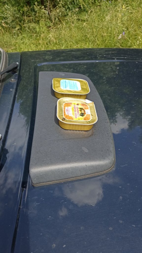 Подогрев питания на автомобиле в путешествии