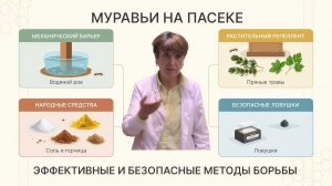 Муравьи на пасеке: как защитить ульи без вреда для пчёл. Отвечает профессор Пашаян 🐜🐝