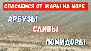 325🏡Даже не думала,что столько будет/Спасаемся от жары на море