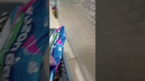 В ПЯТЁРОЧКЕ ЗА ПОКУПКАМИ ДЛЯ СВОИХ ХВОСТАТЫХ МУРЗИЛОК      🩷🩷🩷