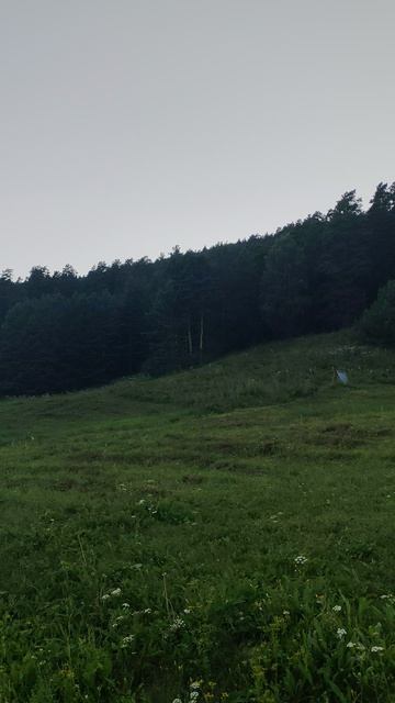 Курай на Мраткино!