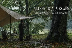 Один в лесу под ливнем: дождь не стихал весь день