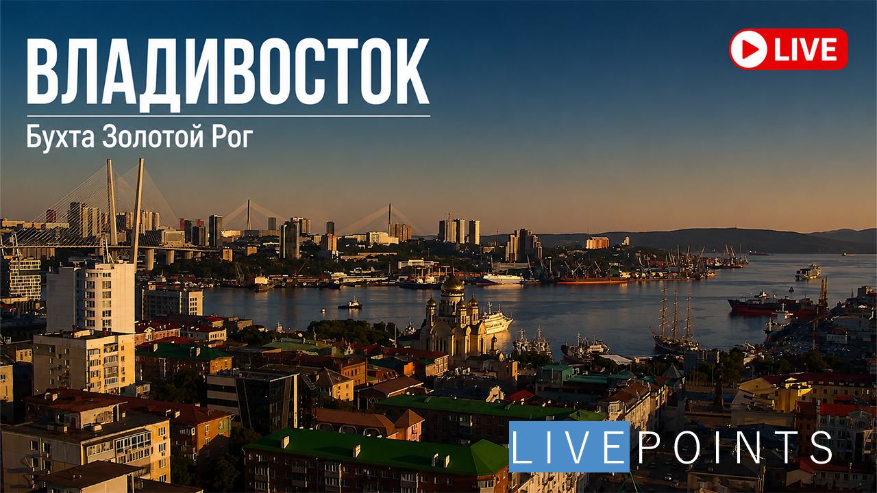 Веб-камера Владивосток, Бухта Золотой Рог