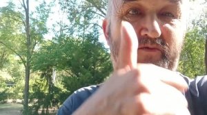 Здесь нашли перо жар птицы
