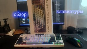 обзор клавиатуры Msi forge gk600 tkl wireless sky