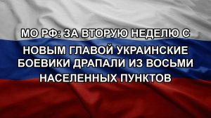 МО РФ: за вторую неделю с новым главой украинские боевики драпали из восьми населенных пунктов