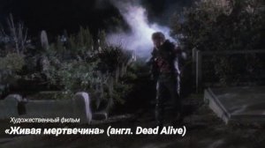 «Живая мертвечина» (англ. Dead Alive)