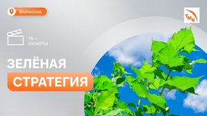 ТМК зарегистрировала первую углеродную единицу в Национальном реестре