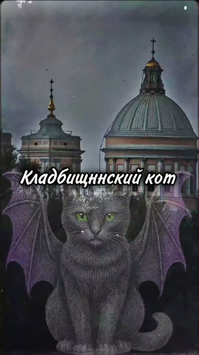 Кладбищенский кот