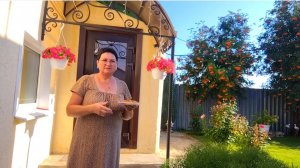 ЖИЗНЬ В СЕЛЕ:НА ЗАВТРАК ДРАНИКИ /ПОЧЕМУ ТАКИЕ ГОРТЕНЗИИ?