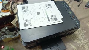 Полосит Canon Pixma G3411/3410/2400 и т.п.(Замена печатающих картриджей, стоимость оригинальных)