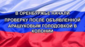 |Н. РФ| В Оренбуржье начали проверку после объявленной Арашуковым голодовкой в колонии