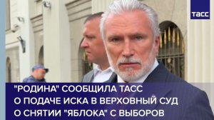 «Родина» сообщила ТАСС о подаче иска в Верховный суд о снятии «Яблока» с выборов