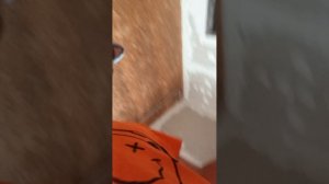 Соник третий часть третья