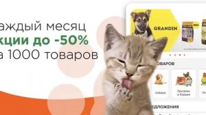 Официальный канал КВН
