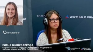 🔴LIVE. Ушастые медузы аурелии могут стать новым инструментом для контроля чистоты морской воды