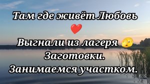 #165 Выгнали из лагеря 🫣 Заготовки. Занимаемся на участке!