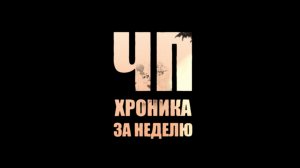 Ревнивец-убийца, самосвал в асфальте, змея на дороге в программе «ЧП. Хроника за неделю»