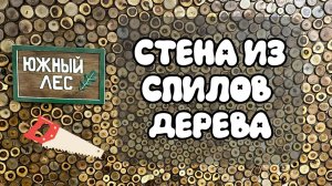 Стена из спилов дерева
