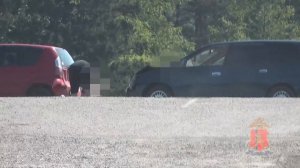 В Красноярске «накрыли» ОПГ автоподставщиков. Видео: МВД по Красноярскому краю