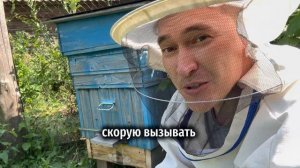 Пчеловодство, начало, скорая