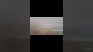 сквишь масло анти стресс !