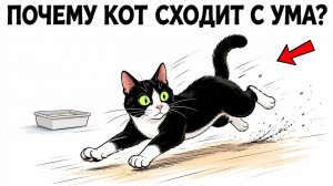 Почему кот НОСИТСЯ По Квартире после лотка？ Ответ вас удивит!